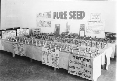 Montana Pure Seed exhibit at the County Fair, 1924