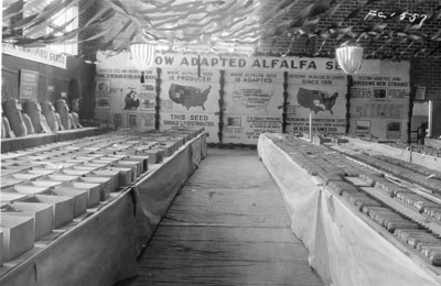 Montana State Corn show at the County Fair in Miles City, MT, 1923
