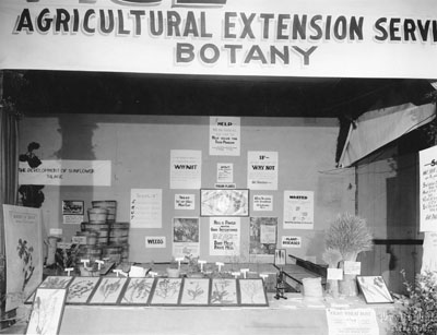Agricultural extension service botany exhibit at the Montana State Fair, 1924