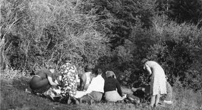 Women at a picnic
