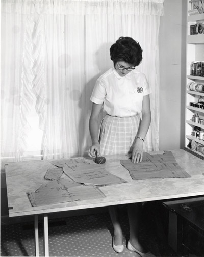 Sue Kosty from Miles City, Montana, Pins Darts in the Material she will use for a Clothing Project