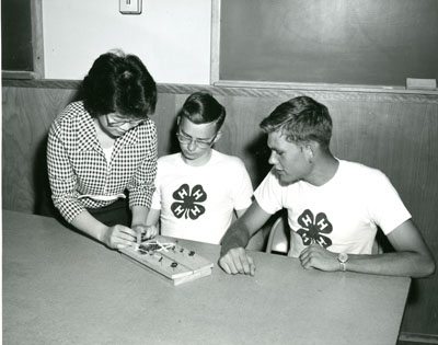 Mona Miyagishima shows Jack McCann and Paul Flanagan, all from Bozeman, MT, how to use a Spreading Board in Mounting Moth Specimen.