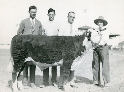 A Group of People Stand with an Award Winning Steer at the Montana State Fair in Helena, Montana, 1928