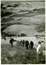 M Day, 1939, hauling whitewash up the steep trail