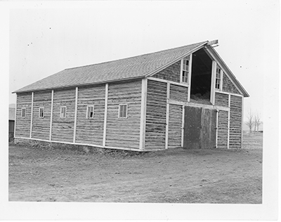 Log Horse Barn