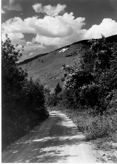 The "M" as seen from Bridger Canyon