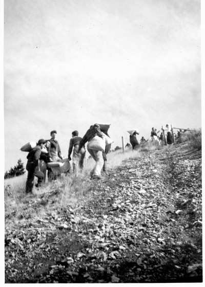 Students ascending Mount Baldy to whitewash the M