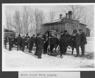 Short Course Stock Judging
