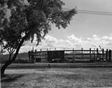 Brick Breeden Fieldhouse Under Construction