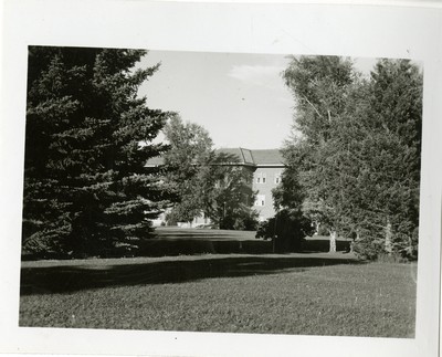 Herrick Hall Surrounded by Trees