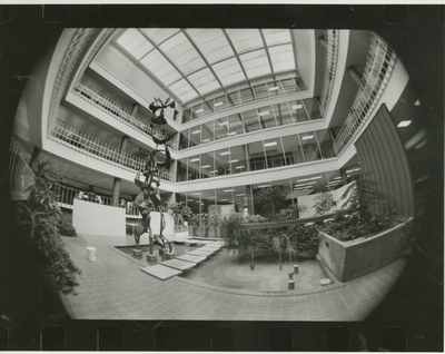 Library Atrium