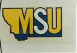 MSU sticker close-up