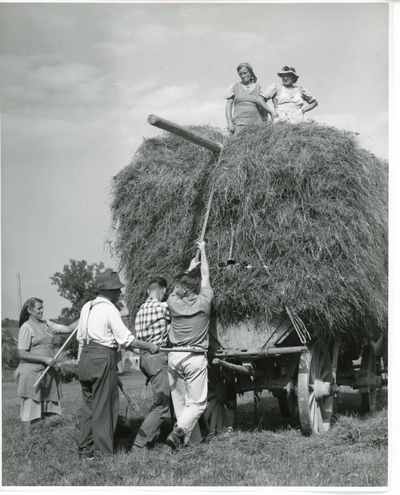 Students helping farmers load hay in wagon, 1959