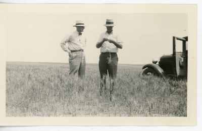 Men standing in a field of Ceres wheat east of Vida, Montana, July 1931