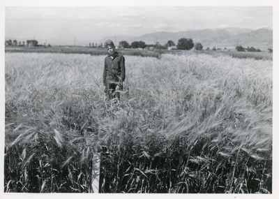 Boy in field of college farm