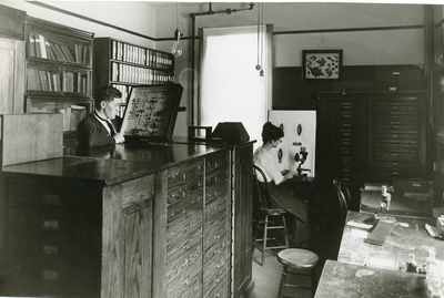 Students working on biology