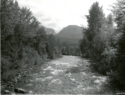 Trout Stream flowing into the West Boulder River near Absarokee, Montana