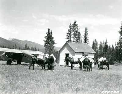 Loading Supplies onto Horses at Bartlett Creek Landing Field