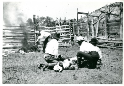 Branding at O ranch, Gallatin National Forest