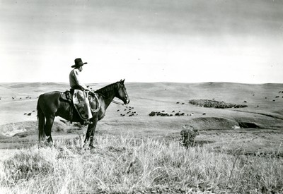 Cowboy