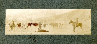 Roping steer - Sepia Photograph