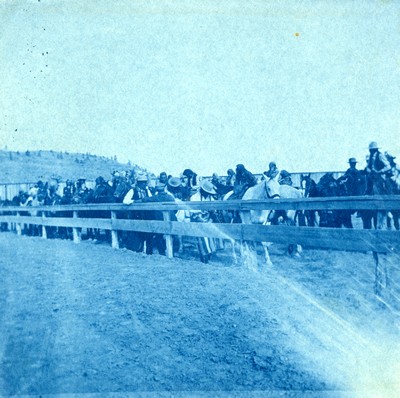 At the races