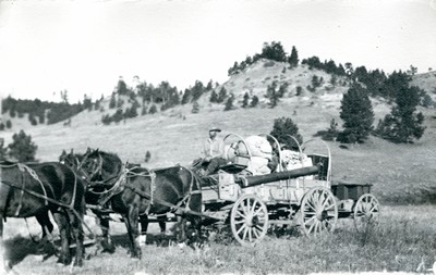 Uncovered Chuck Wagon Fully Loaded Being Driven Across Rangelands in Montana