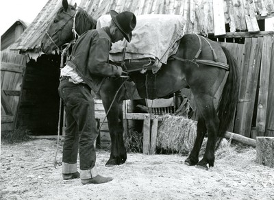 Walter Latta - Packing a horse, Bozeman, Montana July 1939 (bent over cinching saddle)