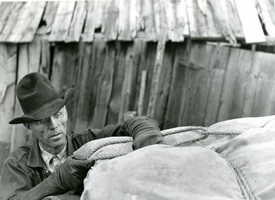 Walter Latta - Using a diamond hitch in packing a horse