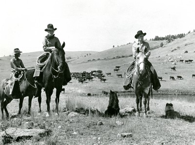 Cowhands on the range - Montana Dude Ranches.