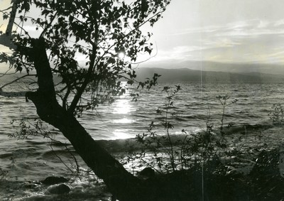 Flathead Lake