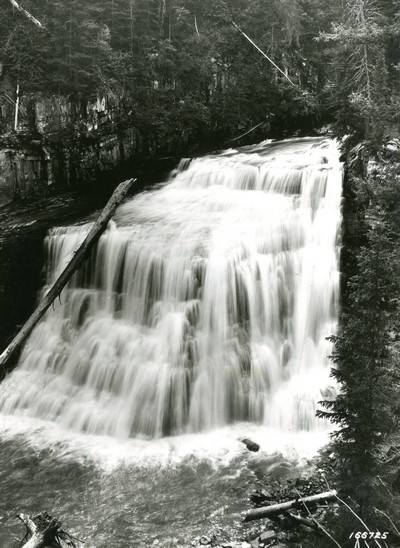 Skalkaho Falls - above