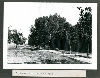 Fort Assinniboine - Trees in leaf