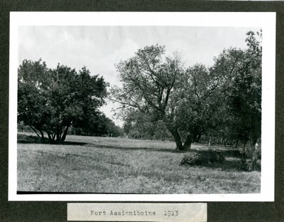Fort Assinniboine - Trees
