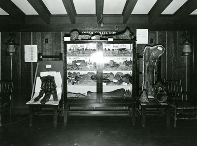 Fossil Collection - Fort Peck Theatre