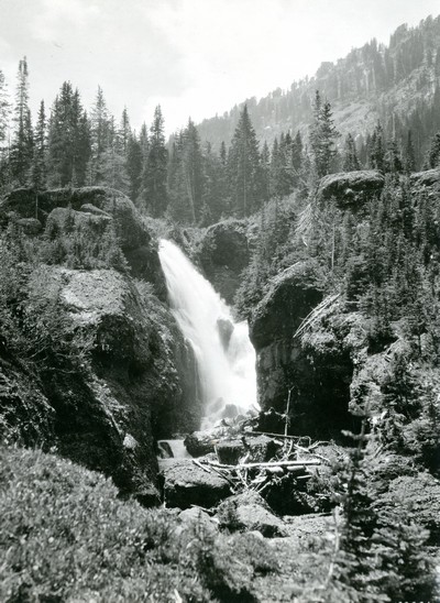 Champagne Falls, Gallatin National Forest