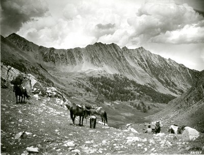 Visiting the high mountains, Gallatin National Forest