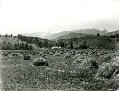 Hay Ranch, Bitterroot Valley, Montana