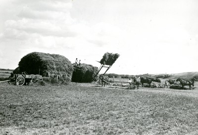 Stacking Hay