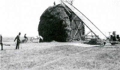Herb Armitage and his hay stacker