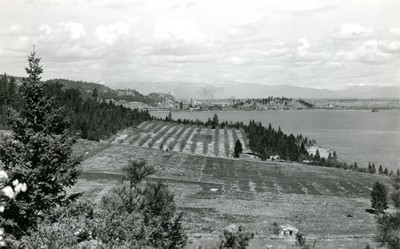 Orchard on Flathead Lake