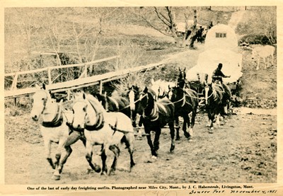 One of the Last of Early Day Freighting Outfits, near Miles City, MT.