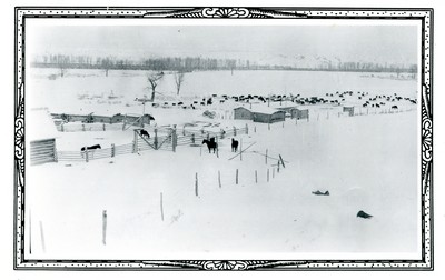 Town Ranch (Hobble Diamond Ranch) on Missouri River, Winter 1936