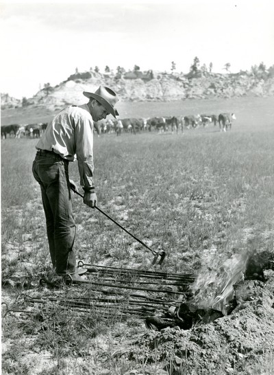 Branding Iron in Fire, Quarter Circle U Ranch Roundup, MT