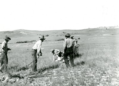 Branding , Quarter Circle U Ranch Roundup in Montana