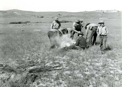 Branding , Quarter Circle U Ranch Roundup , Big Horn County, MT