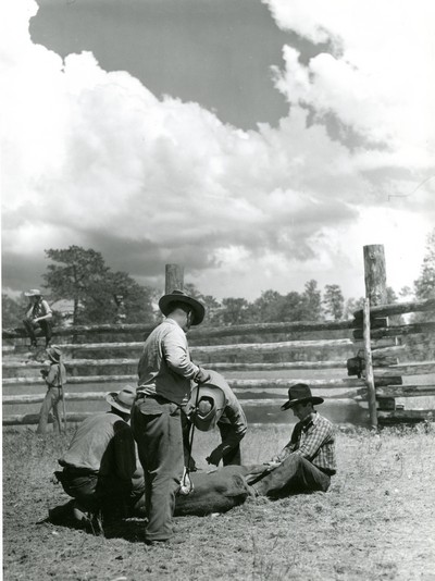 Branding, Three Circle Ranch, Custer National Forest, MT