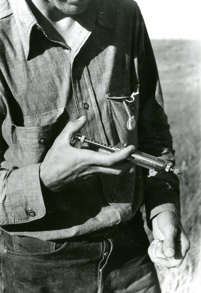Syringe Used in Immunization against Black Leg, Quarter Circle U Ranch Roundup, MT