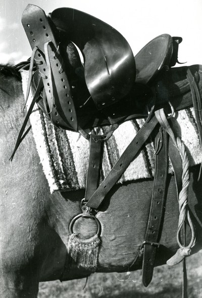 Detail of Cinch on Saddle, Quarter Circle U Ranch, Big Horn County, MT