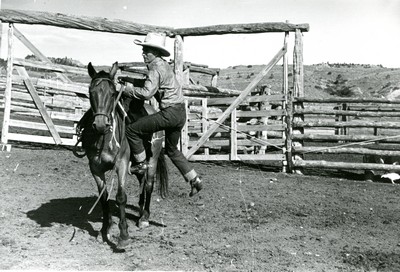 Cowboy Mounting Horse, Quarter Circle U Ranch, Big Horn County, MT